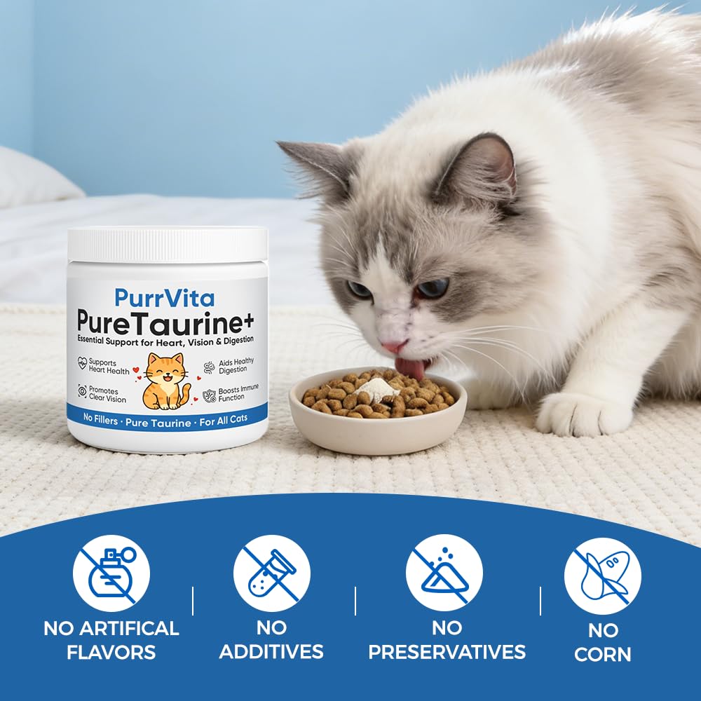 Plynxe PurrVita taurine being dispensed over cat food at mealtime.