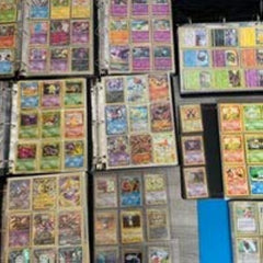 English edition Pokémon cards display highlighting language and artwork