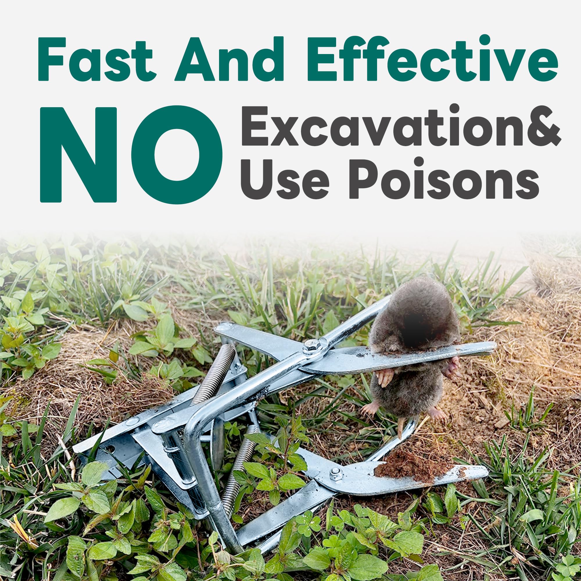 POlAFLEX mole trap durable material signals rust-proof steel for long-term use.
