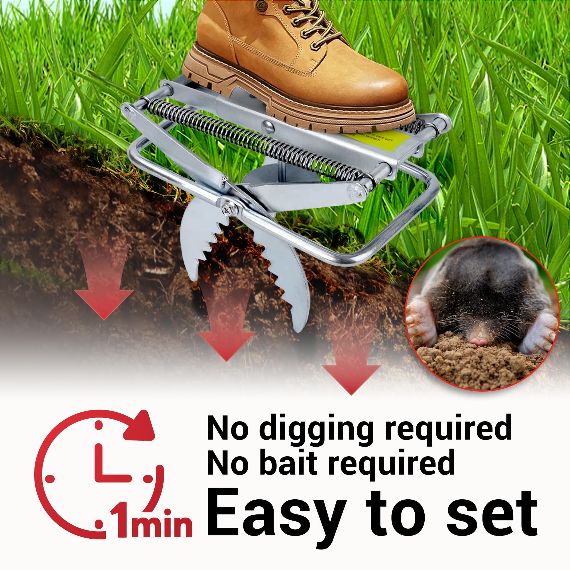 Polaflex Mole Trap Scissor 2Pack galvanized steel design for durability.