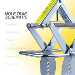 Polaflex Mole Trap Scissor 2Pack protecting garden from mole damage.