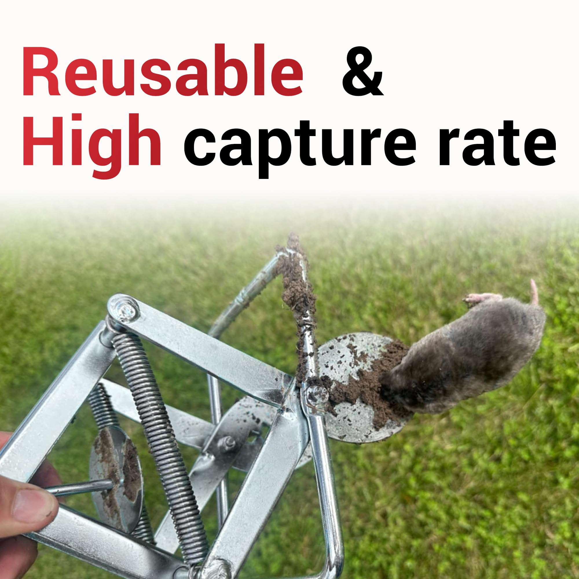 Polaflex Mole Trap Scissor 2Pack includes warranty and free support.
