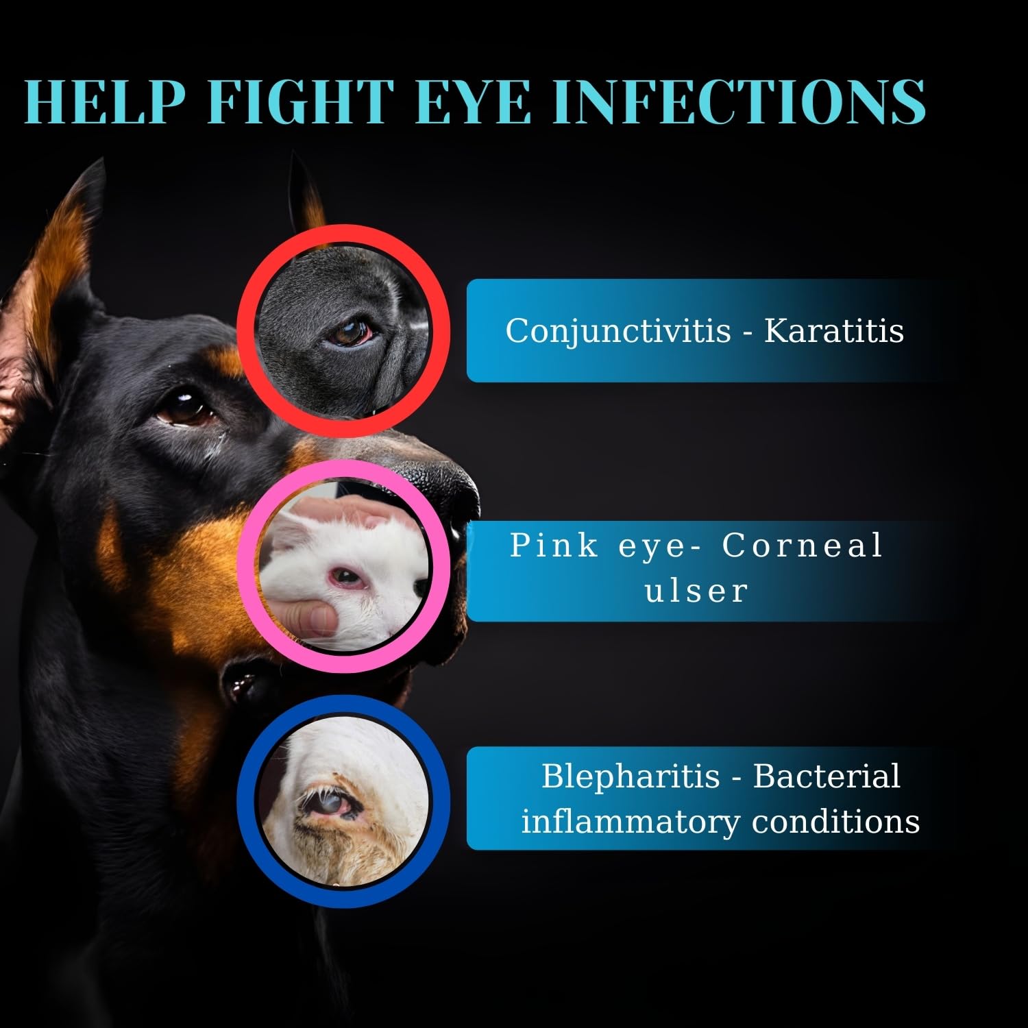 POLKA Terramypol Eye Ointment tube ready for easy application