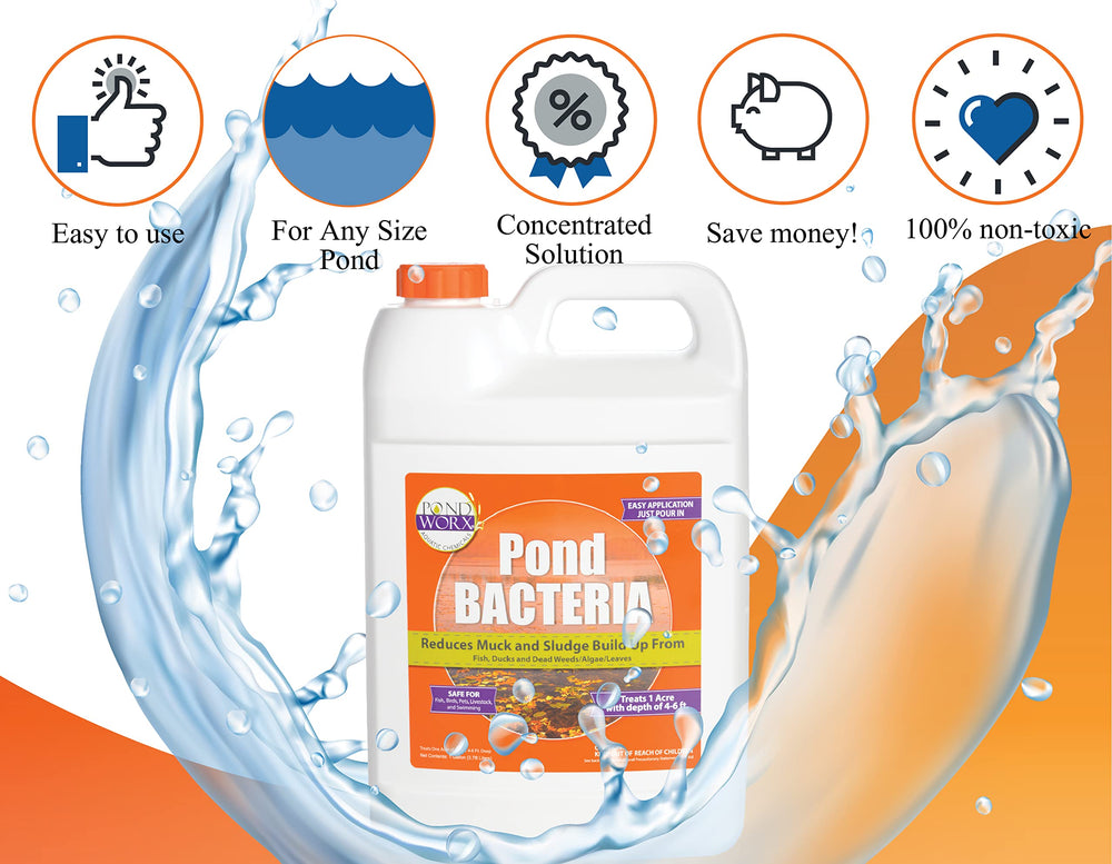 PondWorx Pond Bacteria enables a balanced aquatic ecosystem