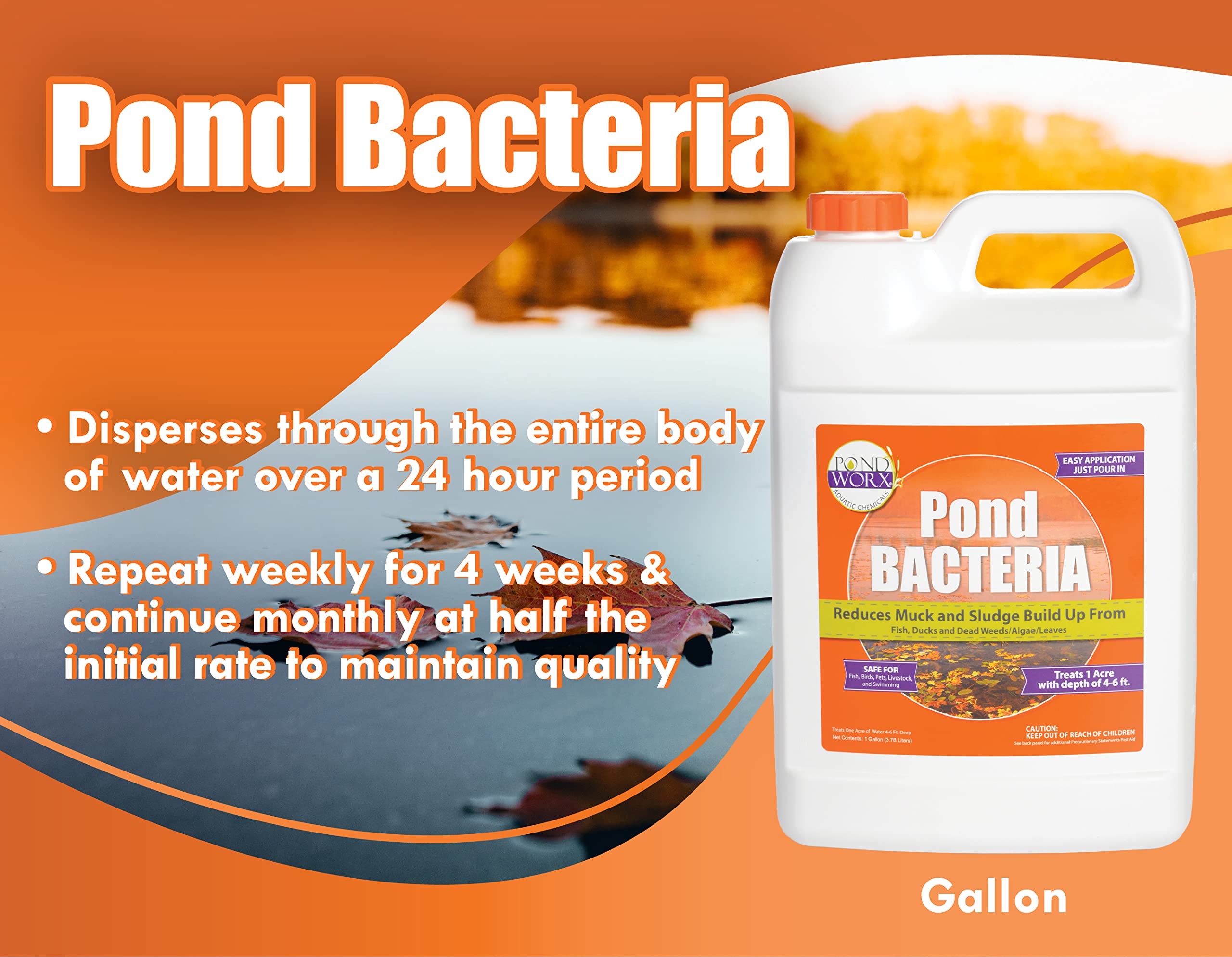 PondWorx Pond Bacteria for koi ponds supports safe, clear water
