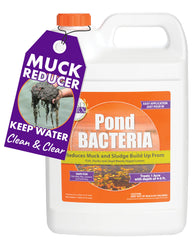 PondWorx Pond Bacteria pour on large ponds to boost water health