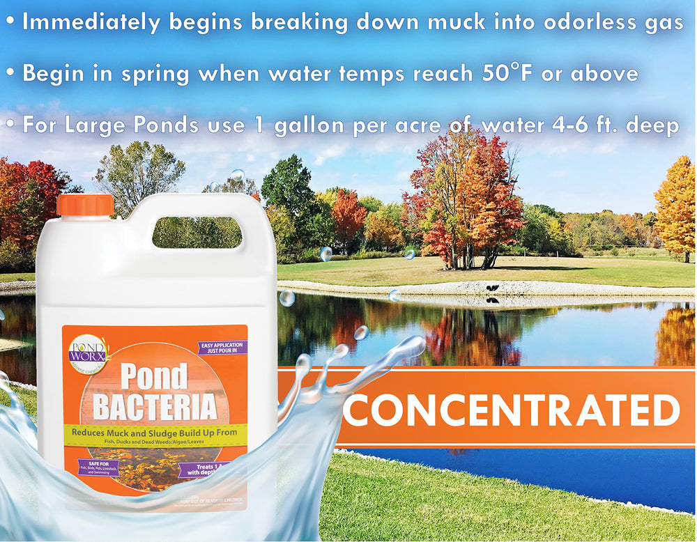 PondWorx Bacteria for water features balances pond ecosystems