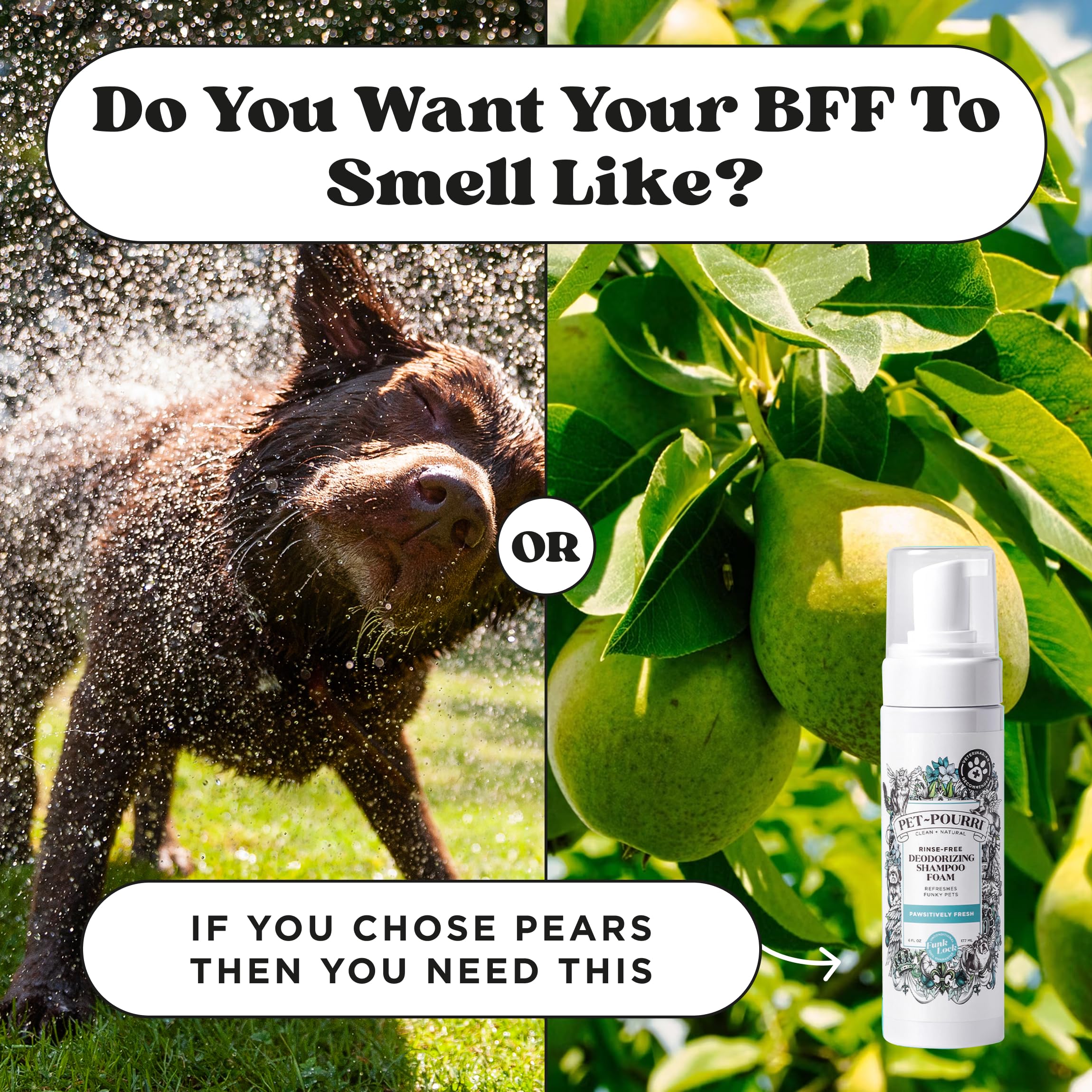 Poo-Pourri long-lasting freshness across coats between baths
