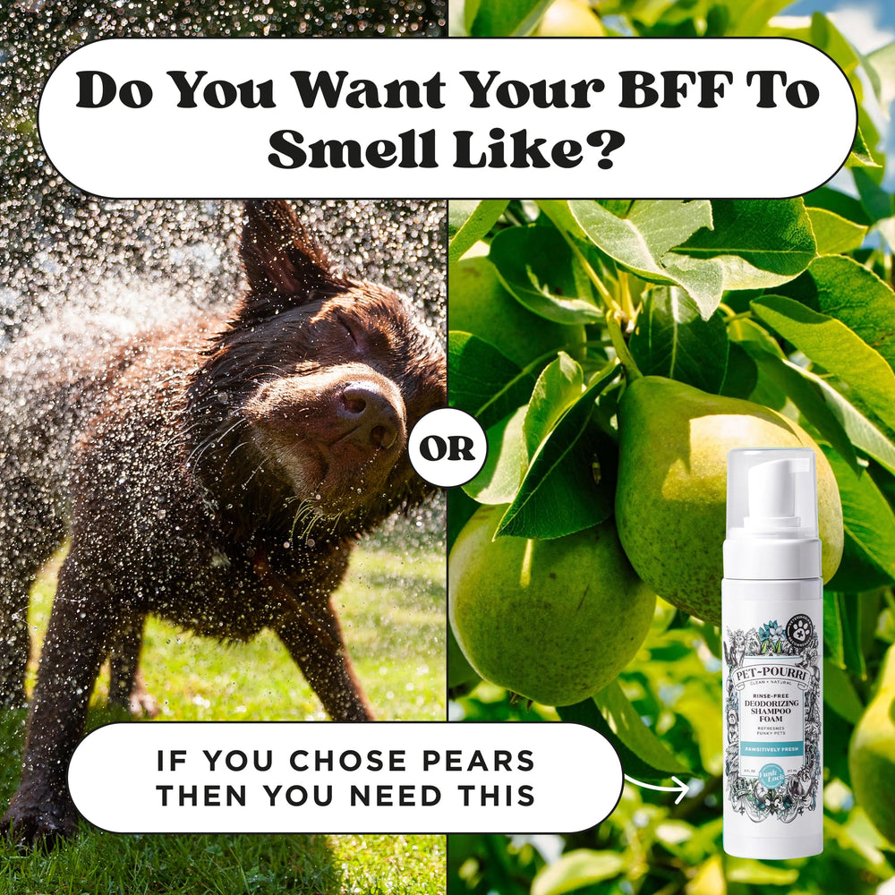 Poo-Pourri long-lasting freshness across coats between baths