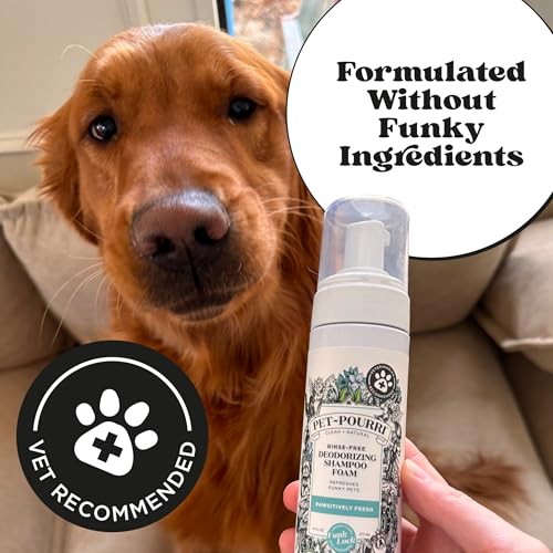 Poo-Pourri no-rinse foam shampoo shown as a gentle waterless cleanse