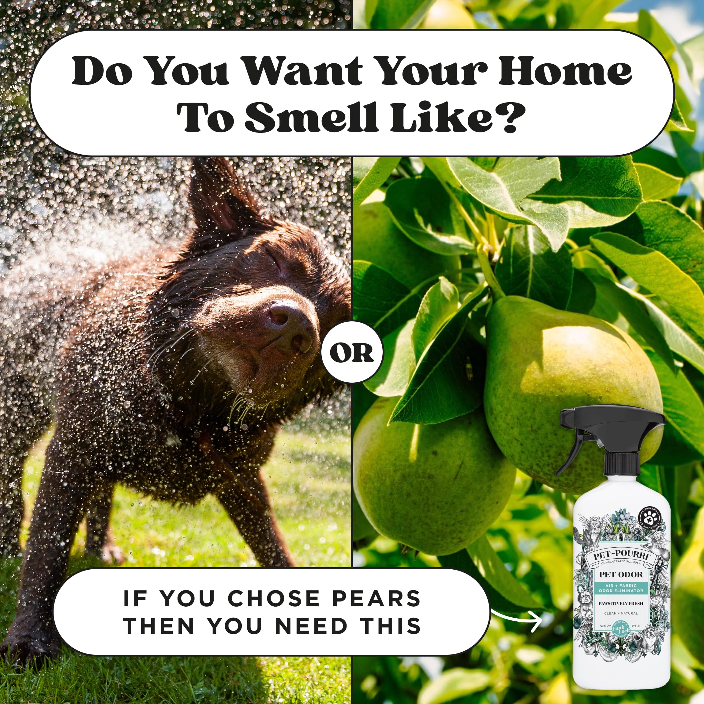 Leaping Bunny certified cruelty-free formulation is pet-friendly.