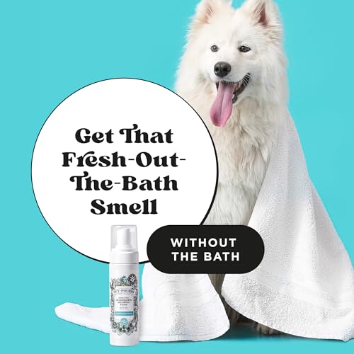 Poo-Pourri rinse-free pet shampoo applied on coat for easy grooming