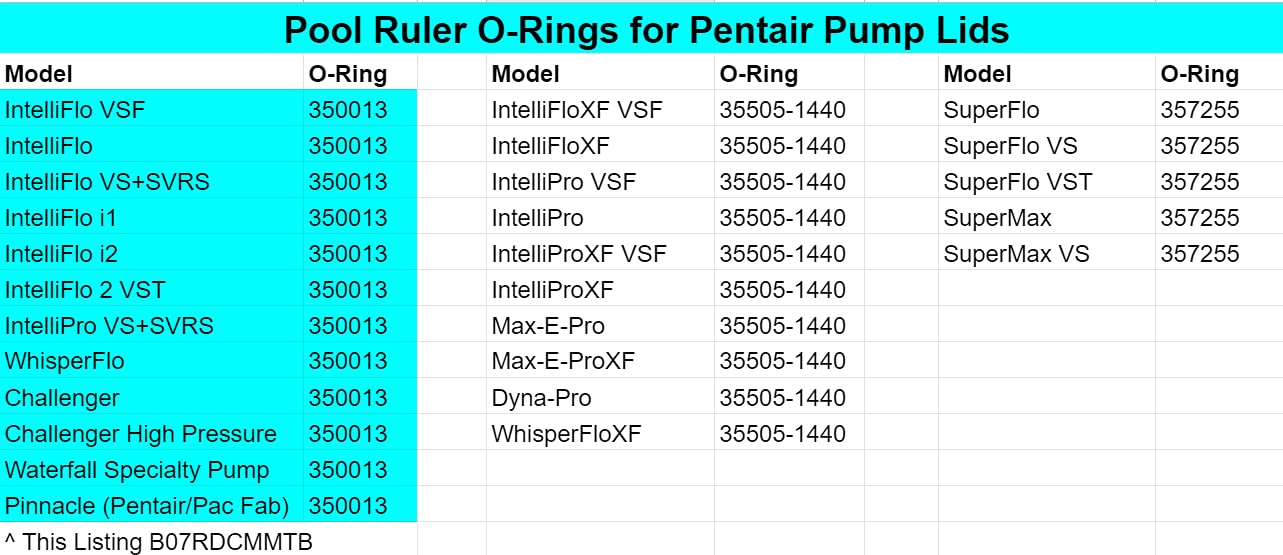 Pool Ruler IntelliFlo lid O-ring compatible for easy maintenance