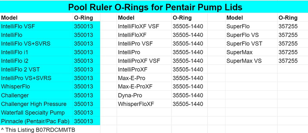 Pool Ruler IntelliFlo lid O-ring compatible for easy maintenance