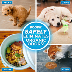 POOPH odor eliminator on carpet demonstrates at-source removal without masking fragrances