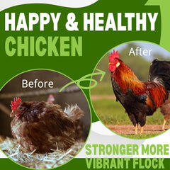 Postaid dewormer added to poultry feed for broad-spectrum support