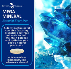 Potent Garden Mega Minerals capsules closeup showing premium mineral blend for daily nutrition.