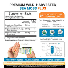 Power By Naturals Sea Moss Plus bottle back reveals ingredients and third-party testing details.