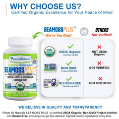Power By Naturals Sea Moss Plus capsules poured into a hand for easy blending.