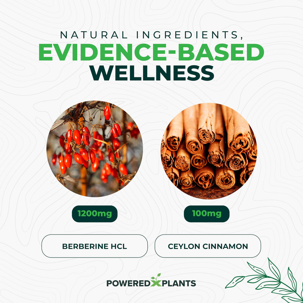 POWERED X PLANTS berberine capsules with Ceylon cinnamon for immune support.