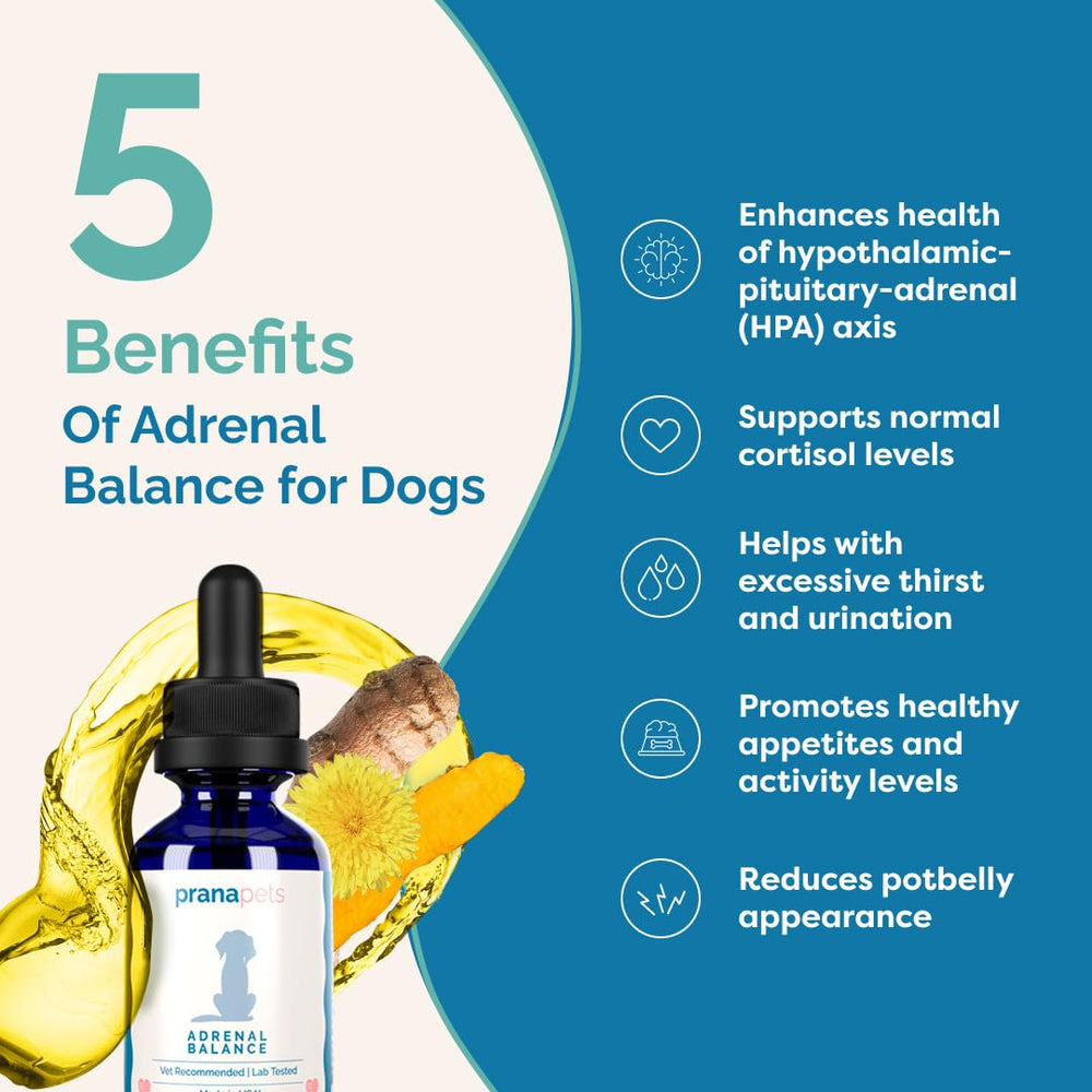 Dog enjoying Adrenal Balance mixed with wet or dry food.