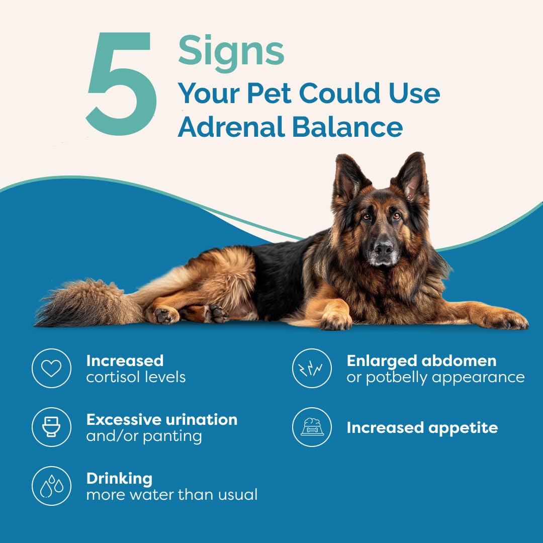 Pouring drops into a dog's bowl to mix with meals.