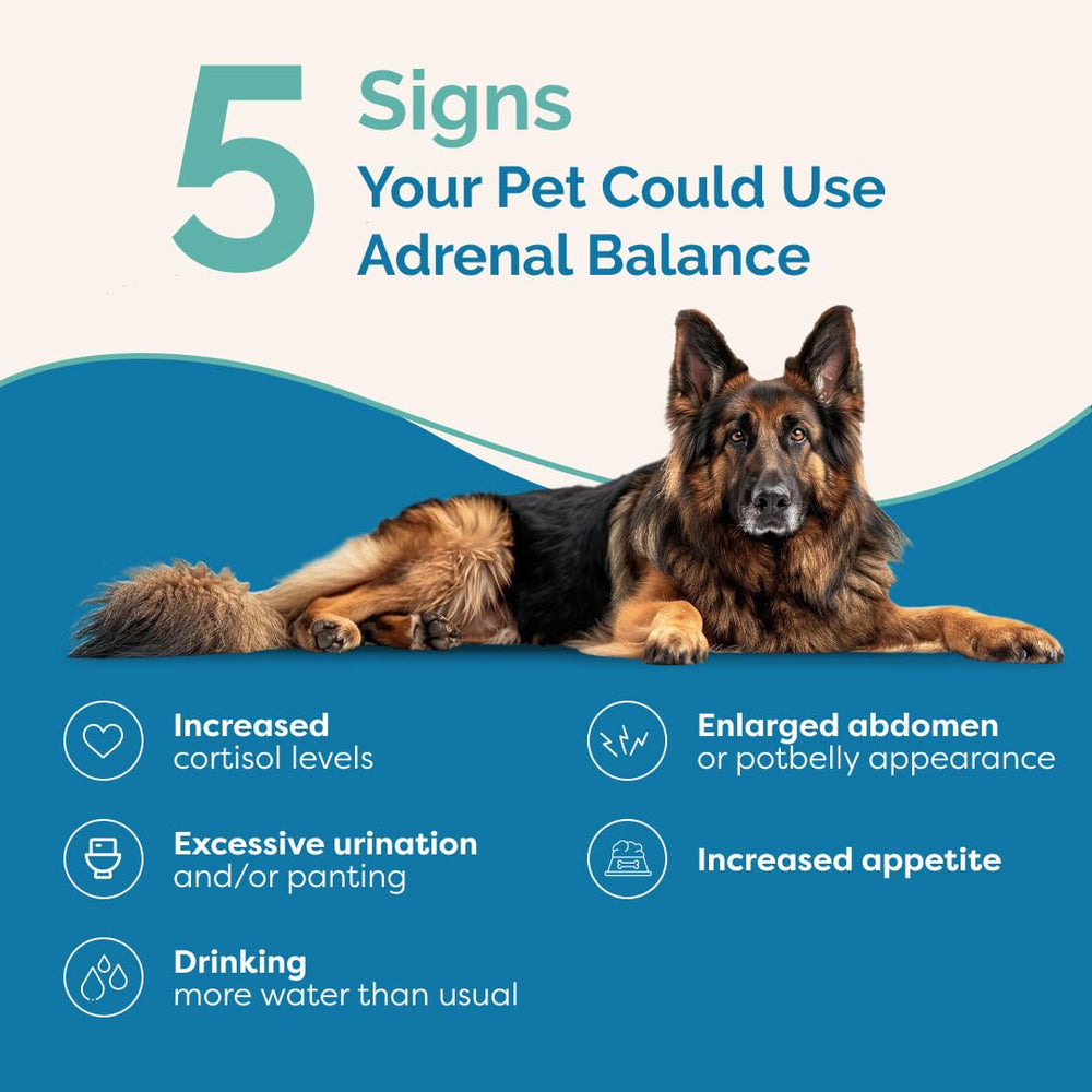 Pouring drops into a dog's bowl to mix with meals.