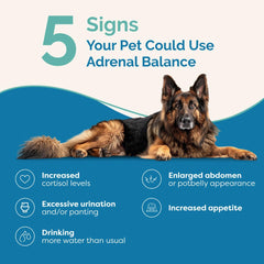 Pouring drops into a dog's bowl to mix with meals.