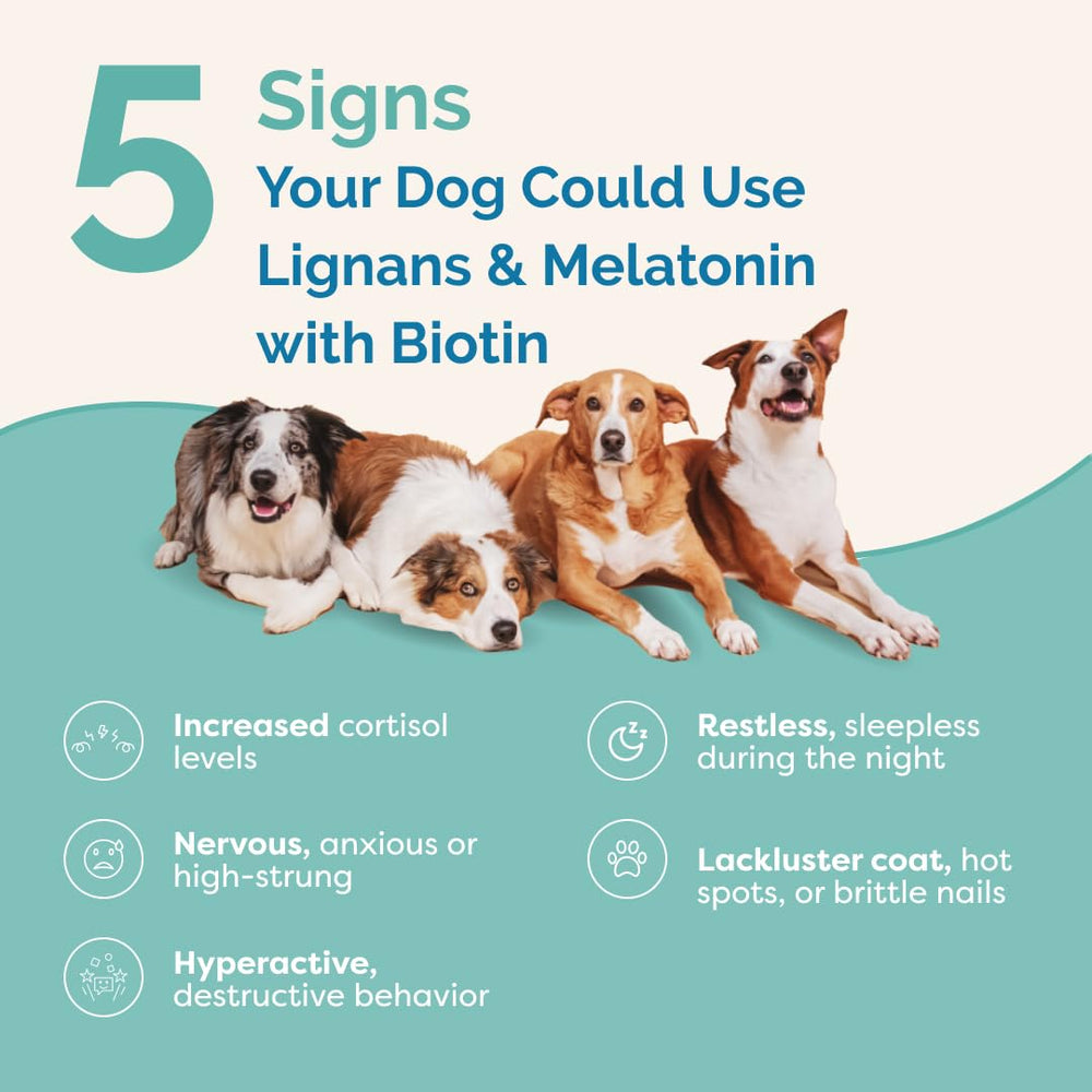 PranaPets lignans-melatonin dog paw scene signals gentle care