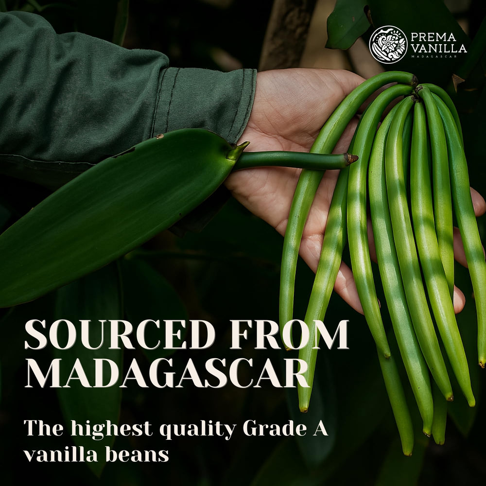 PREMA VANILLA Madagascar bourbon pods 14-18 cm for intense aroma.