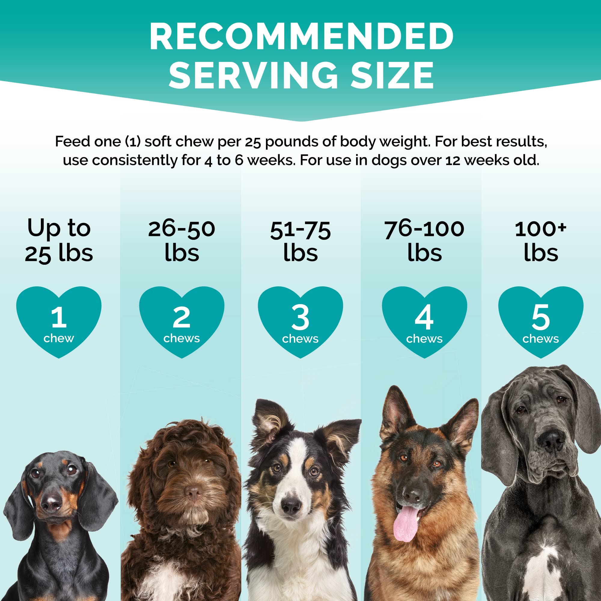 Ginger root ingredient in Premium Care calming chews supports overall wellness