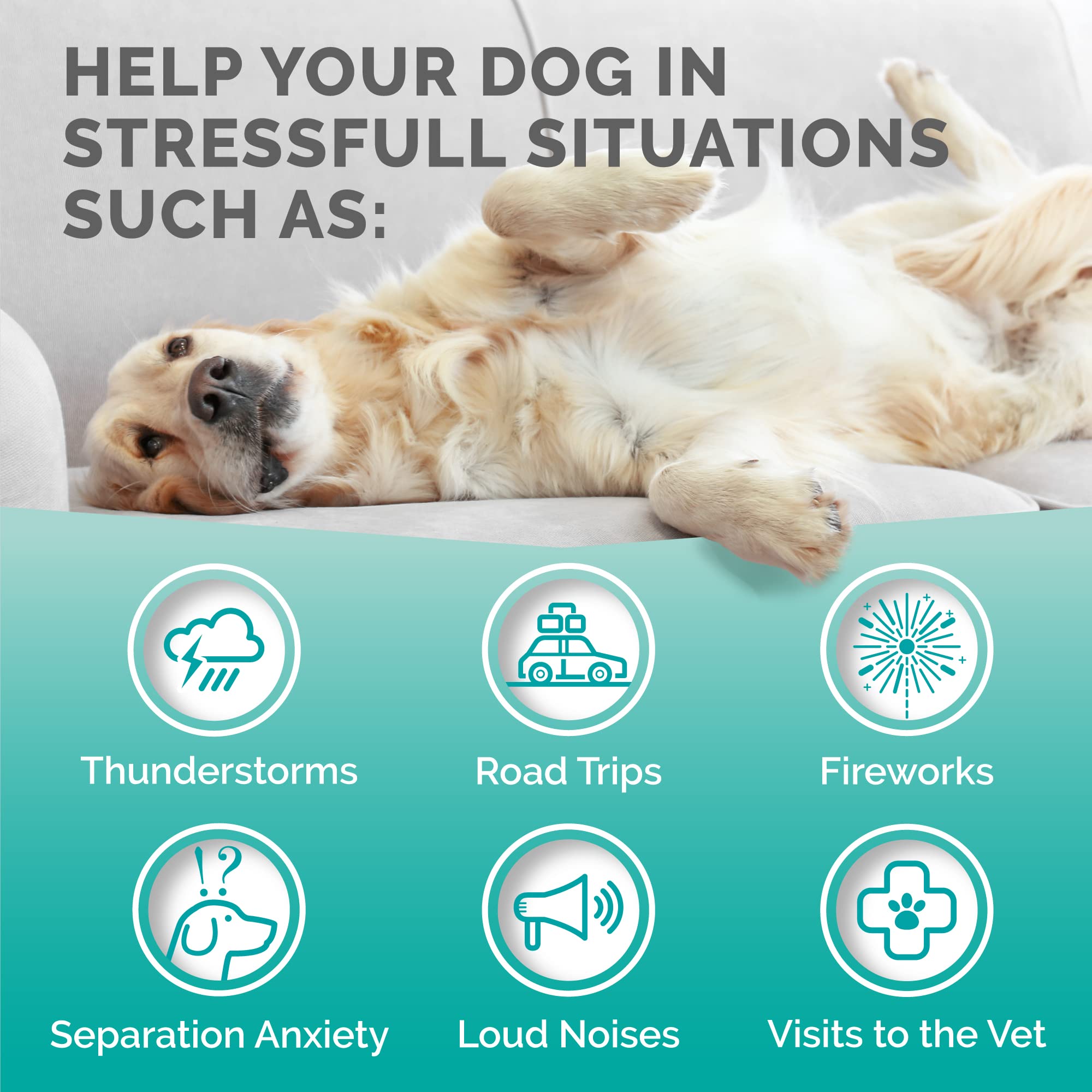 Valerian root ingredient shown in Premium Care calming chews packaging