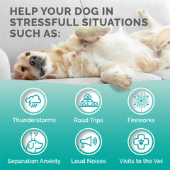 Valerian root ingredient shown in Premium Care calming chews packaging