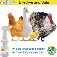 Premo Guard Poultry Spray applied on a chicken for pest control