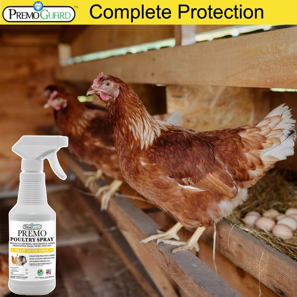 Premo Guard Poultry Spray used in yard around poultry run