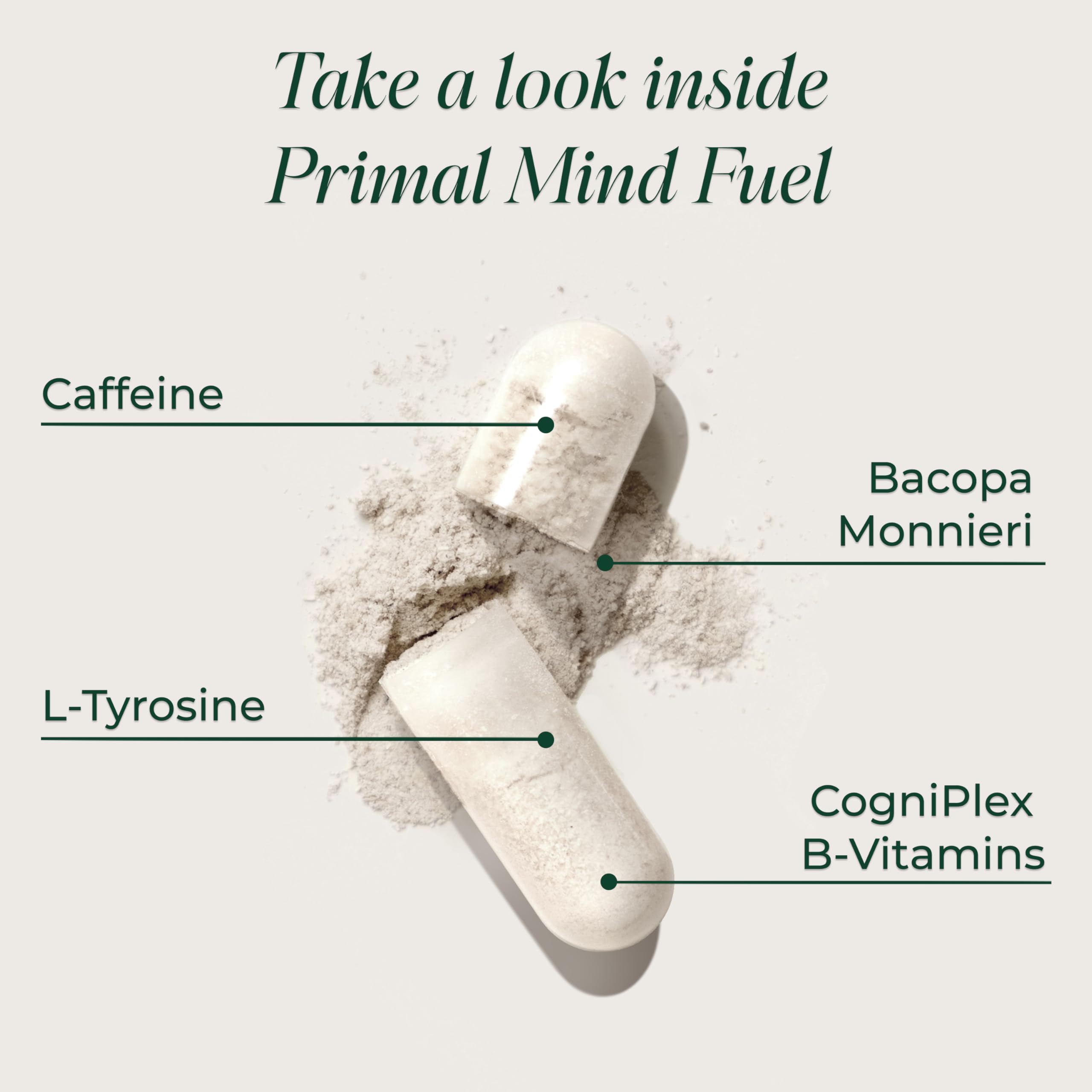 Primal Mind Fuel on a notebook, ideal for workday focus