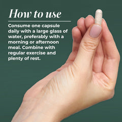 Primal Harvest Primal Multivitamin tablets closeup.