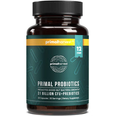 Primal Harvest Probiotics daily bottle ready for your gut health routine.