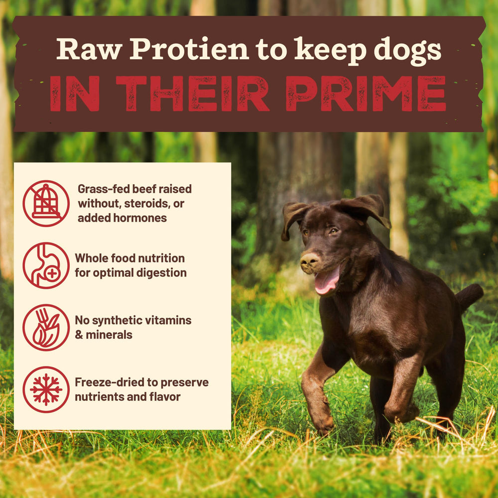 Organic apples and greens showcase real whole foods for dogs.