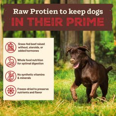 Organic apples and greens showcase real whole foods for dogs.