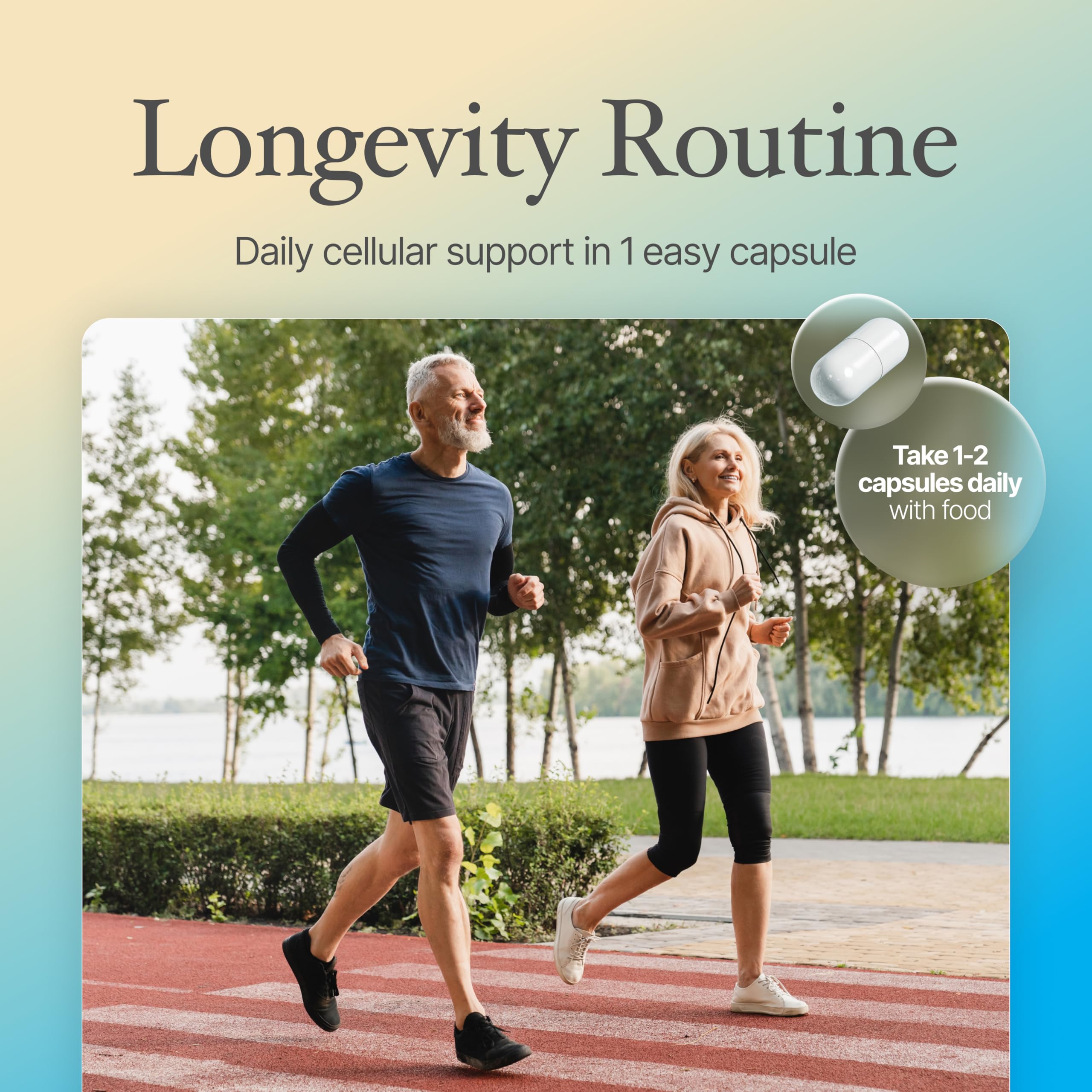 Fermentation-derived purity emphasized on Prime Powders Spermidine capsule label.