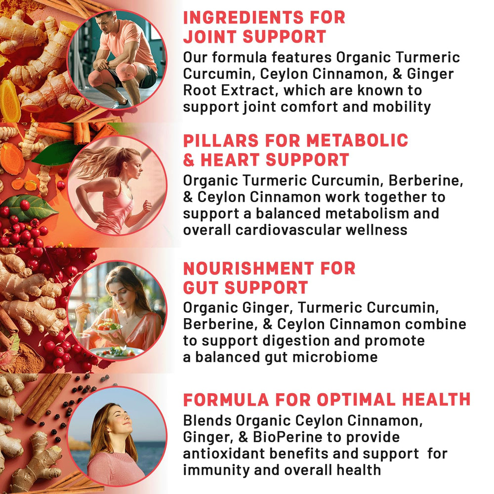 PrimeMD Ginger root capsules emphasizing digestion support and absorption aid.
