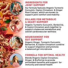 PrimeMD Ginger root capsules emphasizing digestion support and absorption aid.