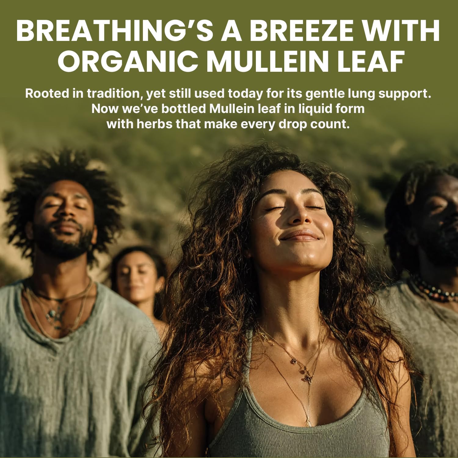 PrimeMD Mullein Drops 60 servings packaging image.