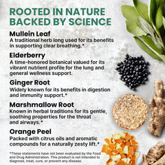 PrimeMD Mullein Drops bottle close-up of ingredients list.