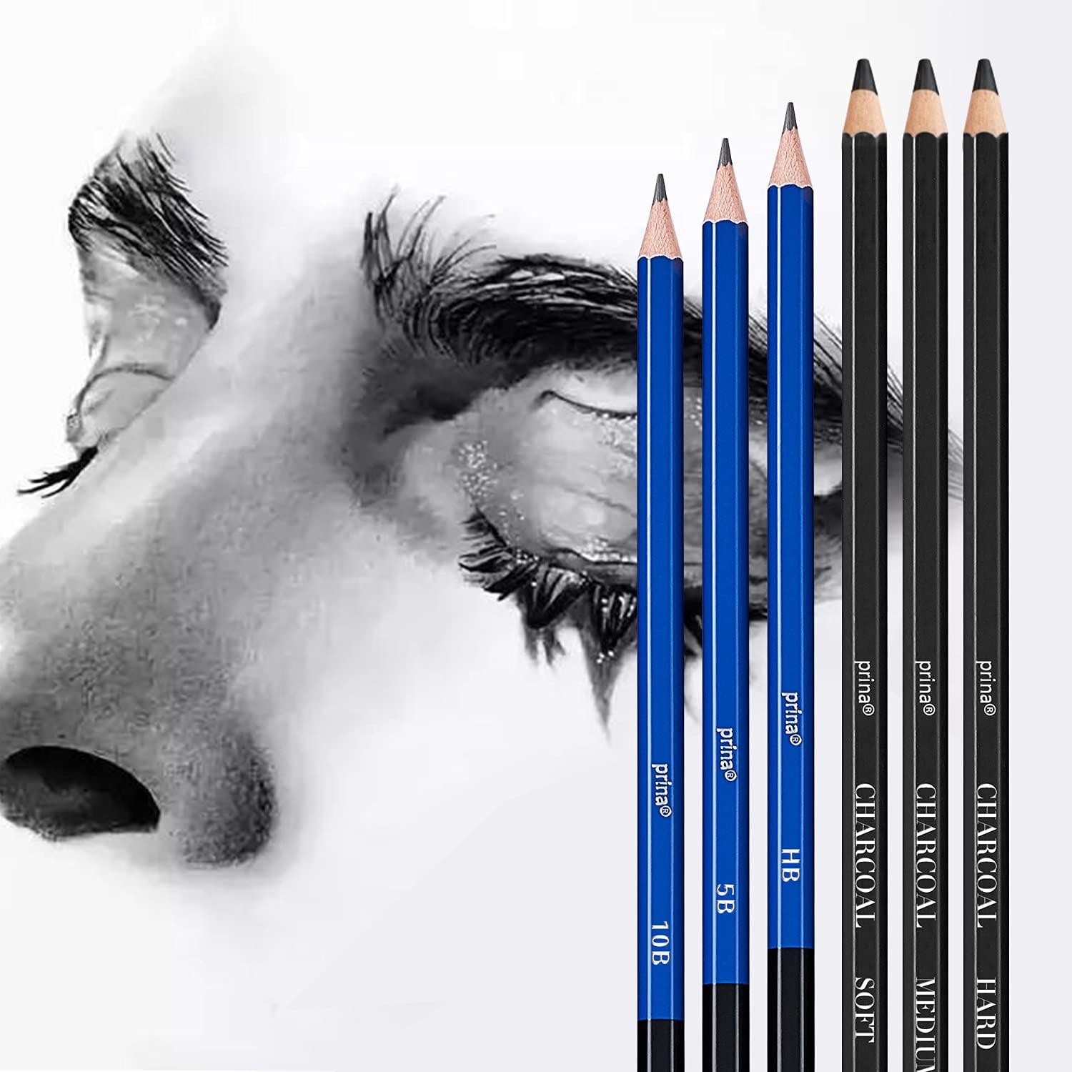PRINA high-quality graphite pencils provide smooth lead for clean lines