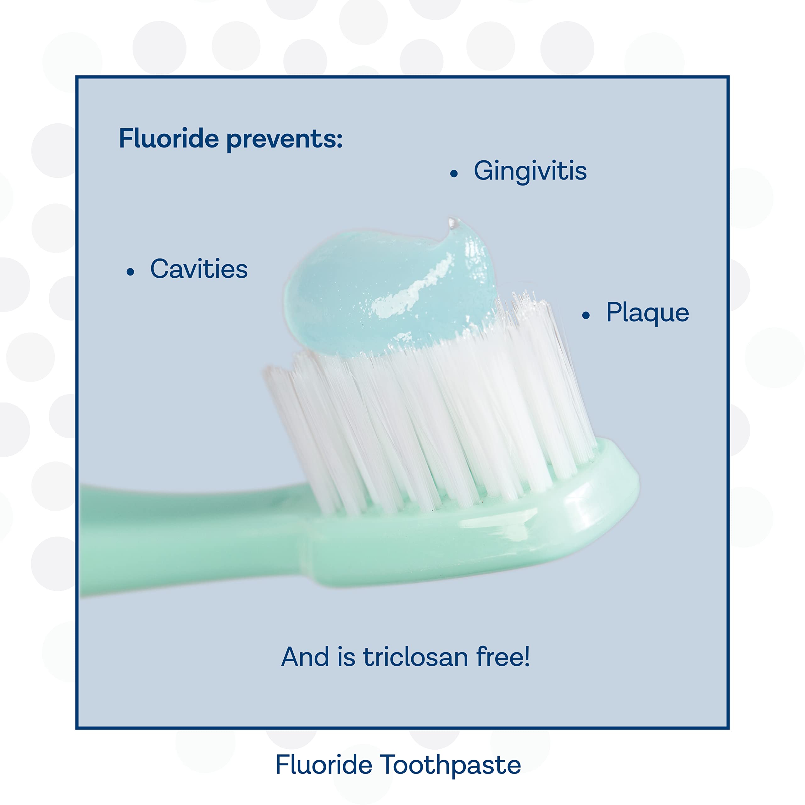 PRO-SYS ADA accepted badge close-up demonstrates dentist-recommended credibility.
