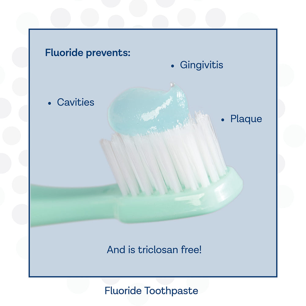 PRO-SYS ADA accepted badge close-up demonstrates dentist-recommended credibility.