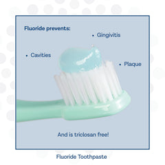 PRO-SYS ADA accepted badge close-up demonstrates dentist-recommended credibility.