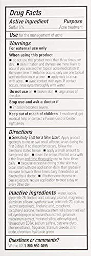 Proactiv Skin Purifying Mask application demonstrating cleansing ritual to reduce excess oil